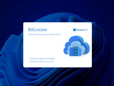 BitLocker recovery screen in Windows 11 prompting for USB with recovery key.